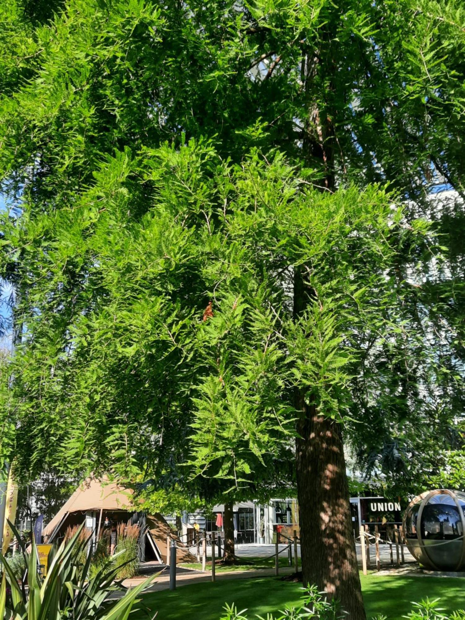 Amara Nomad Stays 1 London Bagian luar foto